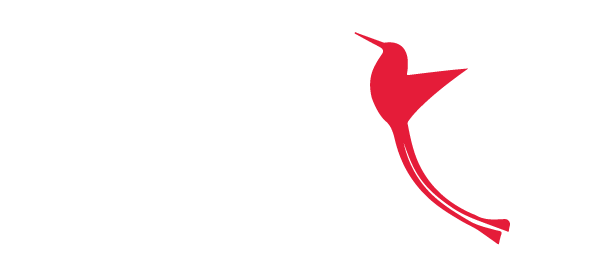 Racketail Solutions and Technologies Pvt Ltd