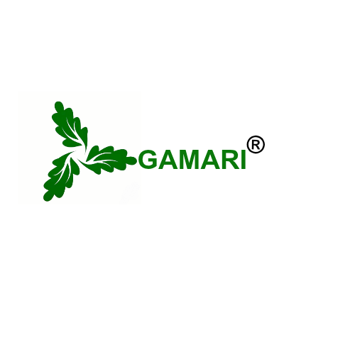 GAMARI ENTERPRISES PRIVATE LIMITED 