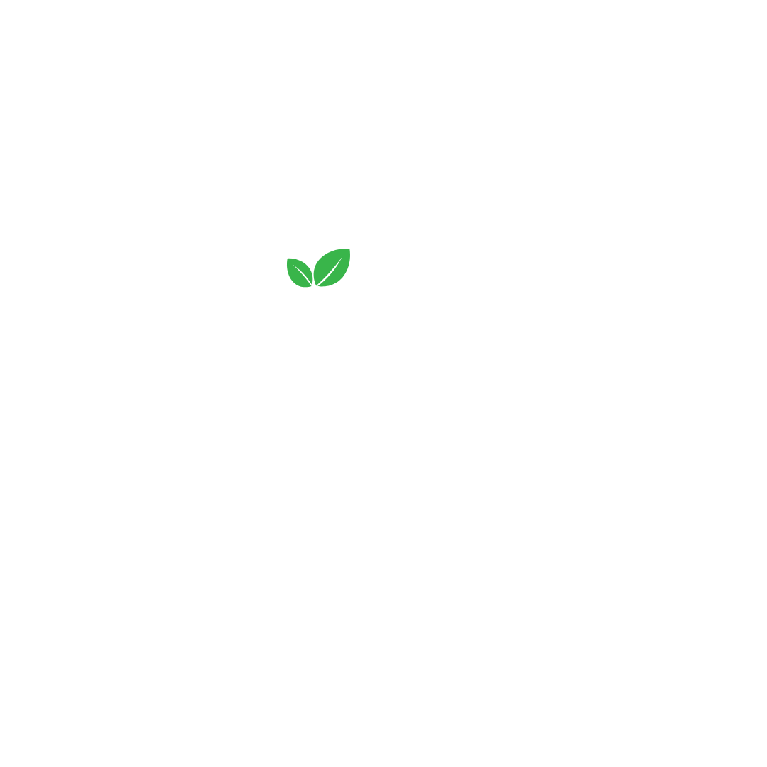 AVINYA LEATHER PVT LTD