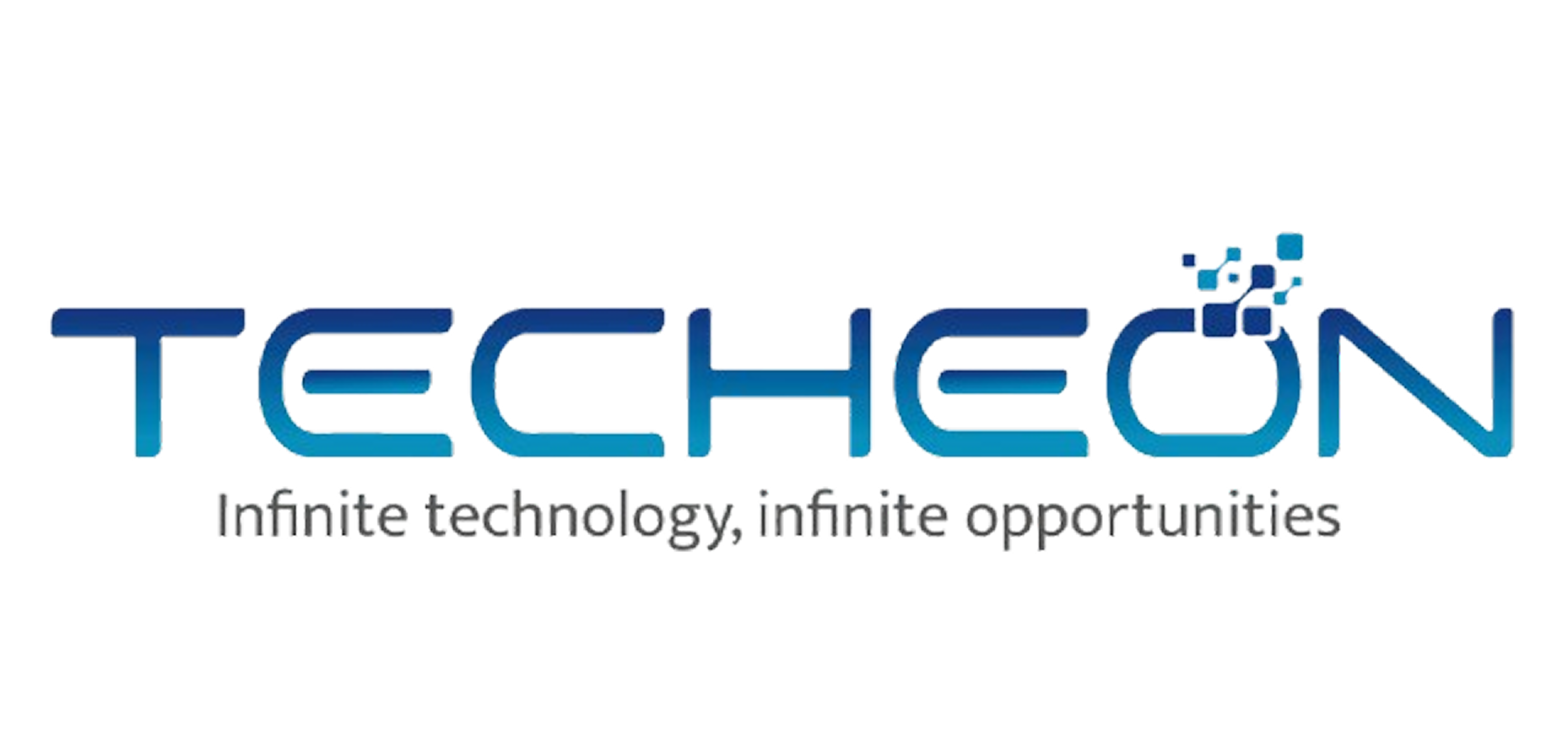 TECHEON IT SERVICES PRIVATE LIMITED