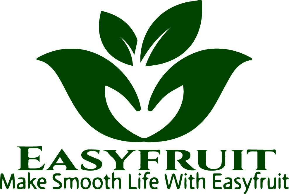 B N SOURCE GLOBAL PVT.LTD