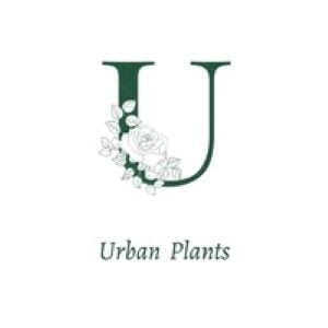 Urban plants00
